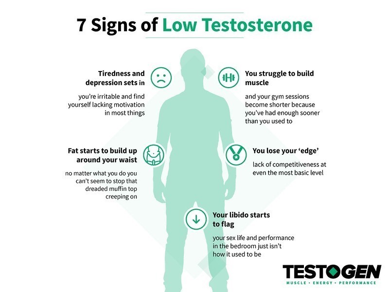 Testogen and fat loss